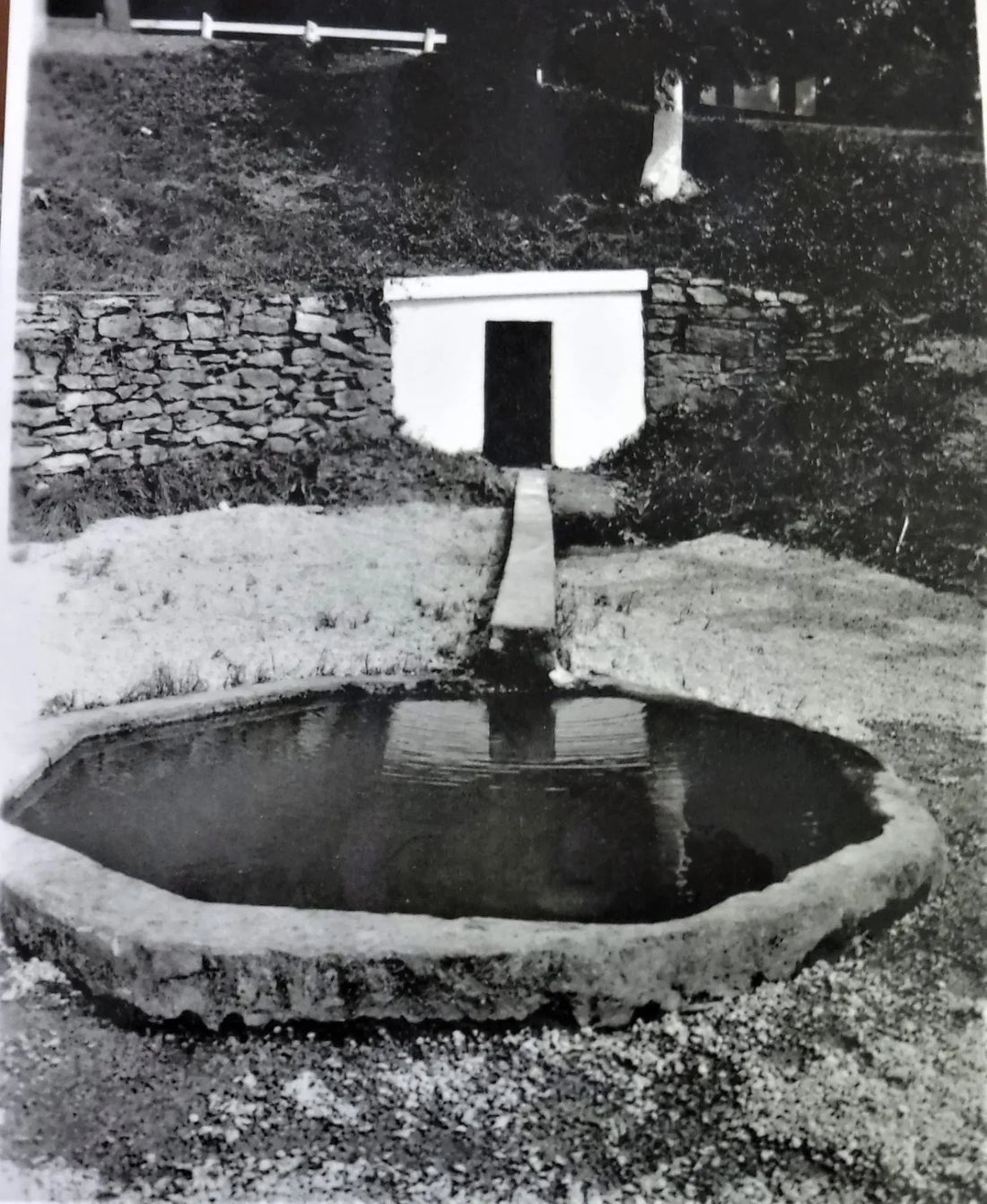 The Public Spring: Where Scottsville Began